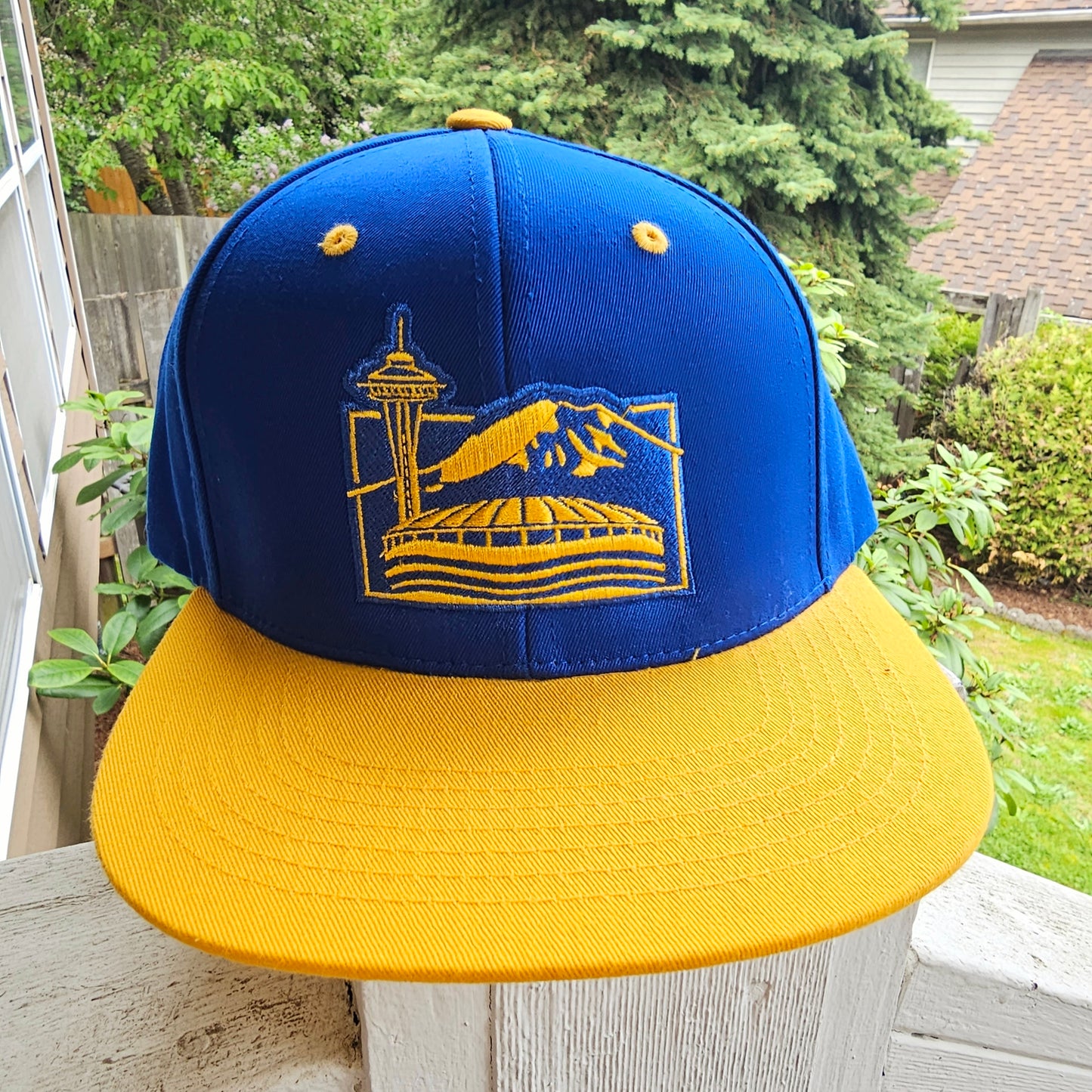 The Landmarks of Seattle Retro Mariners